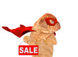 Funny Mastiff puppy wearing superhero costume looking away on empty space and  showing signboard with labeled 