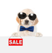 Cute Golden retriver puppy wearing sunglasses and tie bow shows signboard with labeled 