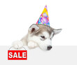 Alaskan Malamute puppy wearing party cap shows signboard with labeled 