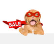 Funny Mastiff puppy wearing superhero costume looking at camera above empty white banner and  showing signboard with labeled 