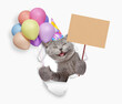 Happy cat wearing sunglasses and party cap holding balloons and showing empty placard, and looking through the hole in white paper