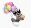 Happy cat wearing sunglasses and party cap holding balloons and cupcake with candle looking through the hole in white paper