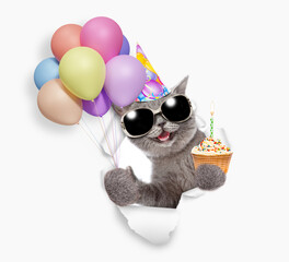 Aufkleber - Happy cat wearing sunglasses and party cap holding balloons and cupcake with candle looking through the hole in white paper