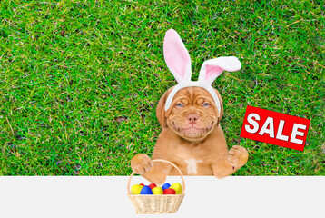 Sticker - Smiling Mastiff puppy wearing easter rabbits ears holds basket of painted easter eggs and shows signboard with labeled 