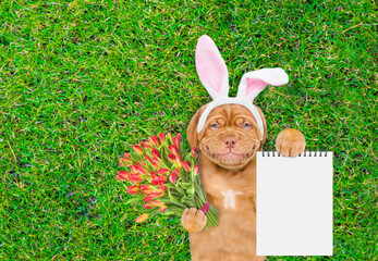 Aufkleber - Smiling Mastiff puppy wearing easter rabbits ears holds bouquet of tulips and shows empty notepad and lies on its back on summer green grass. Top down view. Empty space for text
