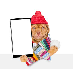 Wall Mural - Smiling puppy wearing a warm hat with pompon and knitted woolen scarf holds snowball and holds smartphone with white blank screen in it paw above empty white banner. isolated on white background