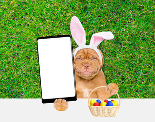 Aufkleber - Smiling Mastiff puppy wearing easter rabbits ears holds basket of painted Easter eggs and holds big smartphone with white blank screen in it paw above empty white banner.  Empty space for text