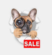 French bulldog puppy looks thru a magnifying lens looks through a hole in white paper and holding holding signboard with labeled 