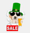 Saint Patrick's Day concept. Cute Golden retriever puppy wearing green hat of the leprechaun looks through the hole in white paper, holds mug of light beer and shows signboard with labeled 