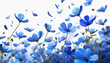 flying blue petals flowers isolated on white background