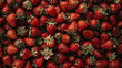 A pile of ripe strawberries with green stems, a delicious and nutritious fruit that is a staple food and a popular ingredient in various dishes