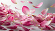 flying pink petals isolated on white background cutout; colorful abstract backdrop, copy space