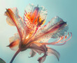 Botanical specimen exotic flower delicate petals showcasing its intricate anatomy photography sunlight double exposure