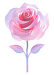 PNG  Rose flower plant inflorescence