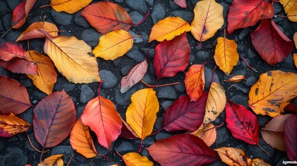 Wall Mural - Seasonal Leaves: A photo of fallen leaves on the ground, with vibrant colors of red