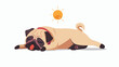 A pug suffering from heat stroke highlighting