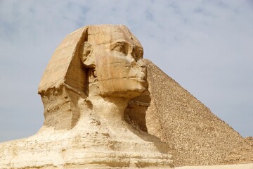 Wall Mural - The Great Sphinx and the Great Pyramid in the Giza pyramid complex, Egypt