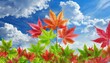 photorealistic,background, full colour maple small leaves on blue sky and beautiful clouds background