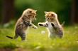 Two charming kittens, donned in miniature suits, engage in a lively game of tag against a lively green backdrop. Their joyful expressions and agile movements make for an endearing playdate.