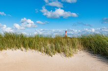 Germany, Schleswig-Holstein, Amrum, Grassy Beach With Lighthouse In Background