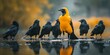 Reflective Yellow Crow Among Black Flock at Water s Edge Symbolizing Self Awareness and Leadership Contemplation