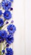 Beautiful indigo cornflower flowers on a white wooden background, in a top view with copy space for text