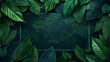 © john - Nature background, abstract white frame in the leaves with copy space