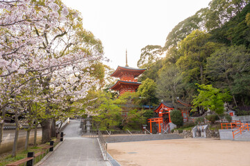 Wall Mural - 日本のお寺風景