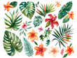 A lush composition of various tropical leaves and flowers, artistically illustrated on a white canvas.