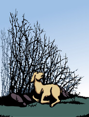 Sticker - Vector drawing. The sheep got lost in the thorn bushes