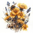 Yellow wildflowers, dandelion and bumblebee insect watercolor illustration on white background.