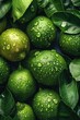 © visoot - Many green lemons and lemon leaves fill the picture. The lemons are very fresh, with some dew sprinkled on them. Generative AI.