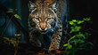 Mysterious and elusive bobcat prowling through a moonlit forest, its piercing eyes gleaming in the darkness, a ghostly presence in the night.