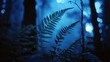 Silhouetted ferns, forest night, close-up, low angle, soft moonlight filter