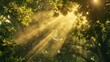 Golden rays piercing green canopy, close-up, low angle, forest cathedral, morning light 