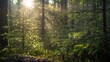 Morning sun, dew sparkles, close-up, straight-on shot, forest renewal, crisp air
