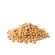 lentils isolated on white