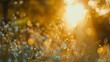 Wildflowers swaying, soft forest bokeh, close-up, low angle, dreamy light leaks, golden hour 