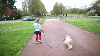 Wall Mural - Adorable preschooler girl walking her Shih Tzu dog on leash in park. Child taking care of a pet. Slow motion.