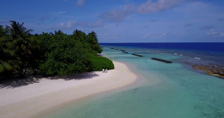 Aerial view of trees on a sandy beach by ocean