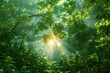 Beautiful landscape with sun and jungle. The sun  rays shines through the trees and green foliage in the forest. Ai generative.