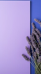 Wall Mural - Lavender background with dark lavender paper on the right side, minimalistic background, copy space concept, top view, flat lay