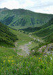 beautiful landscape with greats green mountains. scenic nature view with mountains, summer season. journey, trekking, hiking, adventure concept. Caucasus mountains, Arkhyz