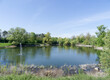 Neuenburg am Rhein im Hochschwarzwald. Stadtpark am Wuhrloch mit Gewässer umgeben von Bäumen und herrlicher wilder und grüner Vegetation im Frühling

