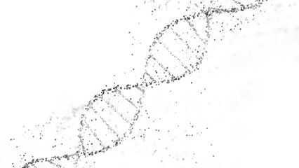 Wall Mural - 3d rendering of a dna double helix structure with spheres on a white background with copy space. gen