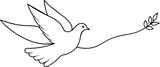 Fototapeta Koty - dove in hand