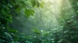 Misty forest background, lush green, dew on leaves, close-up, low camera angle, soft morning light 