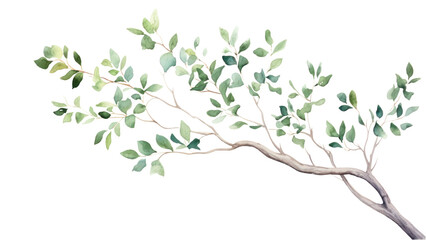 Sticker - PNG Tree drawing branch sketch