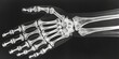 X-ray image of a hand showcasing skeletal details in black and white. Precise diagnostic examination captured in monochrome