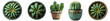 Cactus set PNG. Cactus in pot PNG. Cactus plant in a ceramic vase isolated. Cactus top view PNG. Cactus flat lay isolated